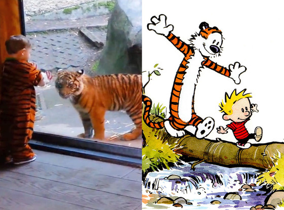 Tiger Cub, Kid, Calvin and Hobbes Tiger Cub, Kid, Calvin and Hobbes